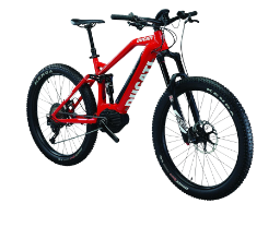 Electric Bike